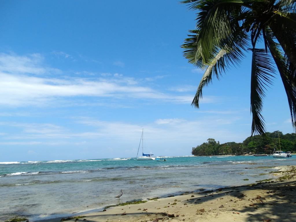 加勒比海秘密度假屋 卡维塔 外观 照片